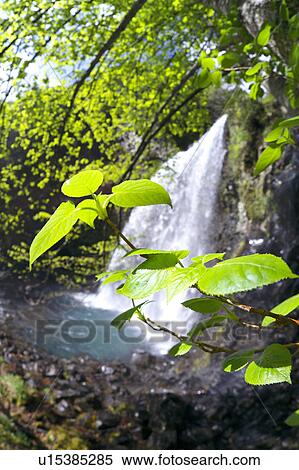 Zengoro-no-taki waterfall, Nagano Prefecture, Honshu, Japan View Large Photo Image Stock Photography - Zengoro-no-taki waterfall, Nagano Prefecture, Honshu, Japan. Fotosearch