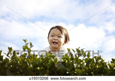 Stock Photograph - Boy Behind Hedge. Fotosearch
