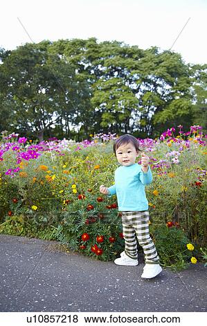 Stock Photo - Boy Near Cosmos Flower Field. Fotosearch