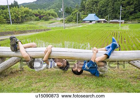 Stock Image - Boys hanging from tree, Wakayama Prefecture, Honshu, Japan. Fotosearch