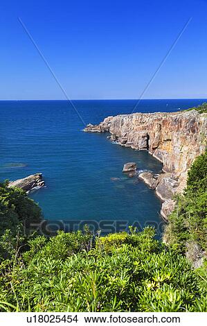 Picture - Cape and Ocean. Fotosearch