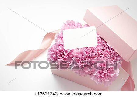 Stock Image - Carnation Flowers in Box. Fotosearch