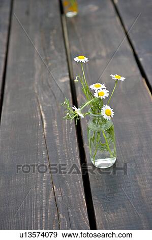 Stock Photo - Chamomile in vase. Fotosearch