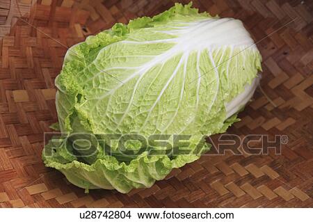 Picture - Chinese Cabbage. Fotosearch