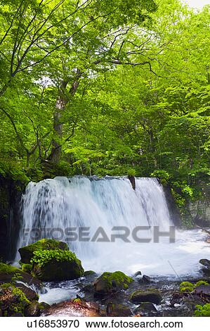 Choshi Otaki Waterfall View Large Photo Image Stock Image - Choshi Otaki Waterfall. Fotosearch