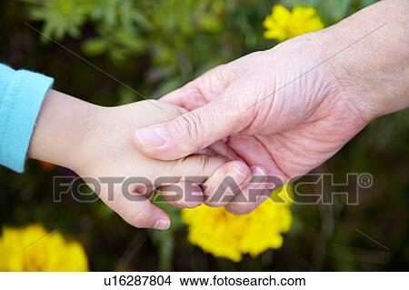 Picture - Close Up of Grandmother and Grandson Holding Hands. Fotosearch