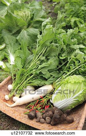 Stock Image - Fresh Vegetables on Bamboo Basket. Fotosearch