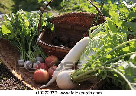 Stock Photo - Fresh Vegetables on Bamboo Basket. Fotosearch
