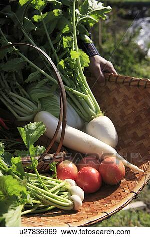 Stock Photo - Fresh Vegetables on Bamboo Basket. Fotosearch