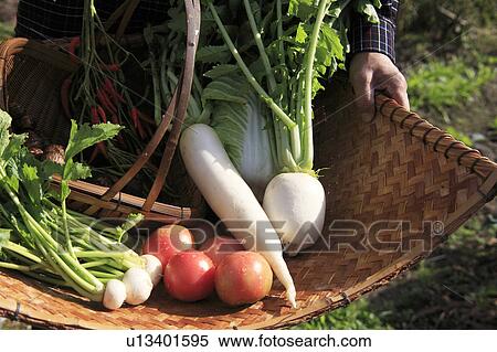 Stock Photography - Fresh Vegetables on Bamboo Basket. Fotosearch