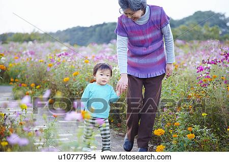 Grandmother and Grandson Walking Through Cosmos Flowers View Large Photo Image Picture - Grandmother and Grandson Walking Through Cosmos Flowers. Fotosearch