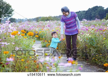 Stock Image - Grandmother and Grandson Walking Through Cosmos Flowers. Fotosearch