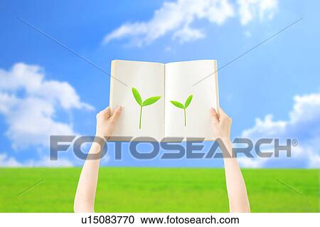 Stock Image - Hands Holding Book. Fotosearch