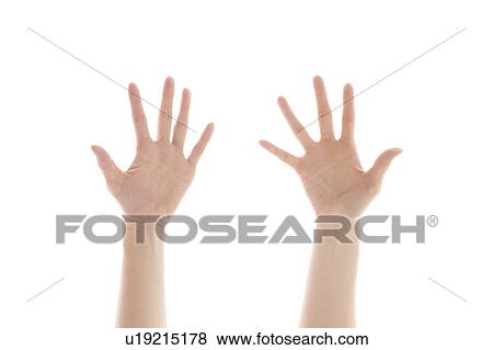 Hands View Large Photo Image Stock Photo - Hands. Fotosearch