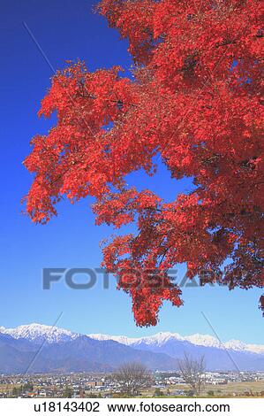 Stock Image - Hida mountains and Japanese fall foliage, Nagano Prefecture, Honshu, Japan. Fotosearch