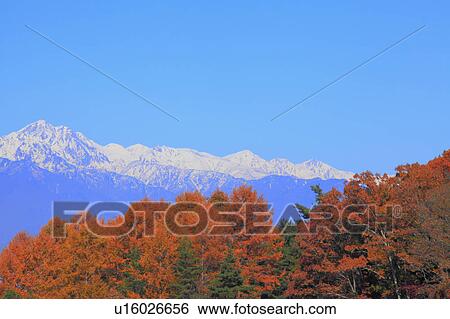 Stock Photograph - Hida mountains and Japanese fall foliage, Nagano Prefecture, Honshu, Japan. Fotosearch