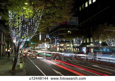 Picture - Illuminated Tree-lined Street. Fotosearch