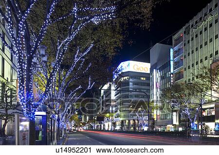 Illuminated Tree-lined Street View Large Photo Image Stock Image - Illuminated Tree-lined Street. Fotosearch