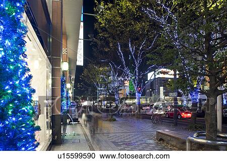 Stock Image - Illuminated Tree-lined Street. Fotosearch