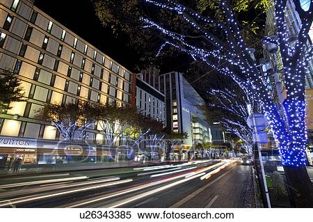 Illuminated Tree-lined Street View Large Photo Image Stock Photography - Illuminated Tree-lined Street. Fotosearch