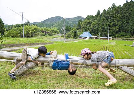 Stock Photo - Kids hanging from tree, Wakayama Prefecture, Honshu, Japan. Fotosearch