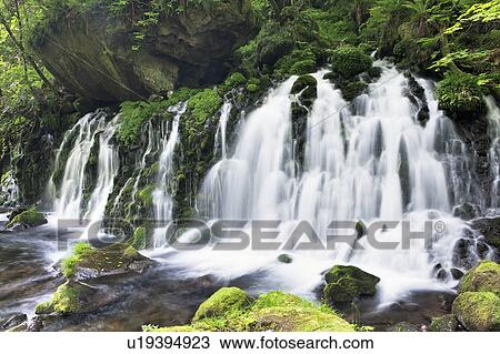 Stock Image - Kokeno-Mototaki Waterfall. Fotosearch