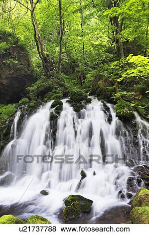 Kokeno-Mototaki Waterfall View Large Photo Image Stock Photo - Kokeno-Mototaki Waterfall. Fotosearch