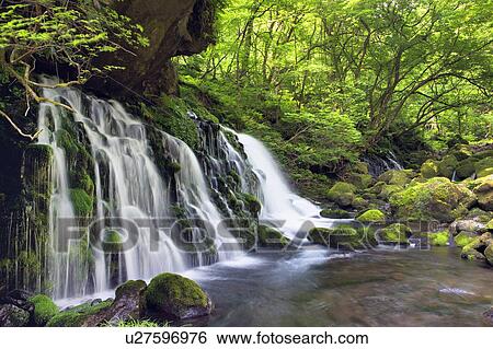 Kokeno-Mototaki Waterfall View Large Photo Image Stock Photograph - Kokeno-Mototaki Waterfall. Fotosearch