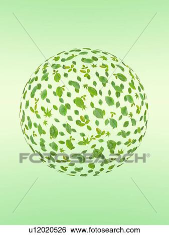 Leaves in sphere shape View Large Photo Image Stock Photograph - Leaves in sphere shape. Fotosearch