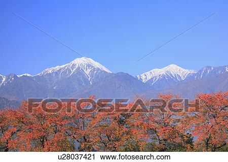 Stock Image - Mt. Jonen in autumn, Nagano Prefecture, Honshu, Japan. Fotosearch