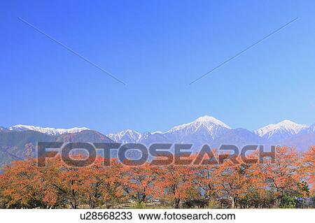 Mt. Jonen in autumn, Nagano Prefecture, Honshu, Japan View Large Photo Image Stock Image - Mt. Jonen in autumn, Nagano Prefecture, Honshu, Japan. Fotosearch