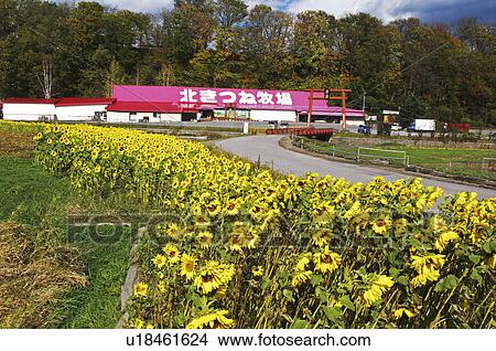 North Fox Farm View Large Photo Image Picture - North Fox Farm. Fotosearch