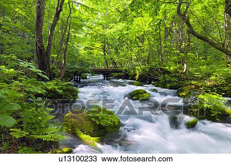 Stock Image - Oirase Stream. Fotosearch
