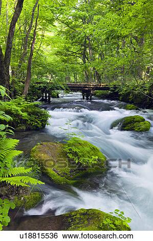 Oirase Stream View Large Photo Image Stock Photograph - Oirase Stream. Fotosearch