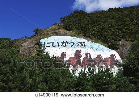 Painting of Horses on Cliff View Large Photo Image Stock Photo - Painting of Horses on Cliff. Fotosearch
