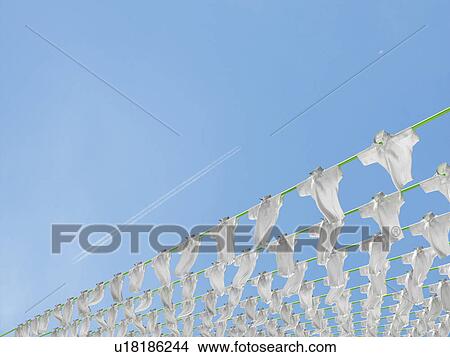 Polo shirts hung out to dry View Large Photo Image Picture - Polo shirts hung out to dry. Fotosearch