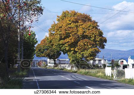 Road in Autumn View Large Photo Image Picture - Road in Autumn. Fotosearch
