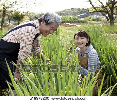 Stock Image - Senior Couple in Vegetable Garden. Fotosearch