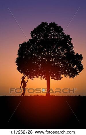 Silhouette of Tree and Pregnant Woman View Large Photo Image Stock Photo - Silhouette of Tree and Pregnant Woman. Fotosearch