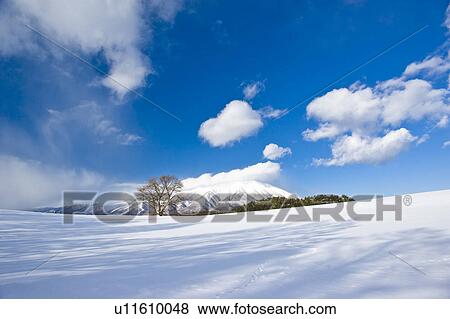 Snow field and mountain, Iwate Prefecture, Honshu, Japan View Large Photo Image Stock Photo - Snow field and mountain, Iwate Prefecture, Honshu, Japan. Fotosearch