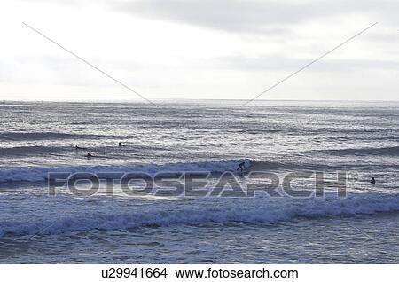 Picture - Surfers in Sea. Fotosearch