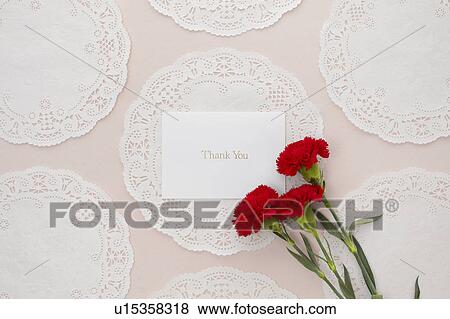 Stock Photo - Thank You Card and Red Carnation flowers. Fotosearch