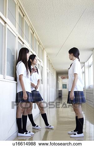 Three Female Students Talking in Corridor View Large Photo Image Stock Photo - Three Female Students Talking in Corridor. Fotosearch