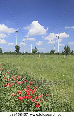 Wind farm, Hungary View Large Photo Image Stock Photo - Wind farm, Hungary. Fotosearch
