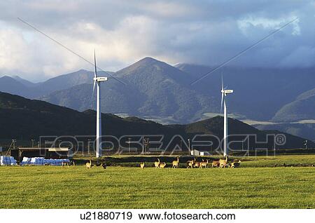 Wind Farm View Large Photo Image Stock Photo - Wind Farm. Fotosearch