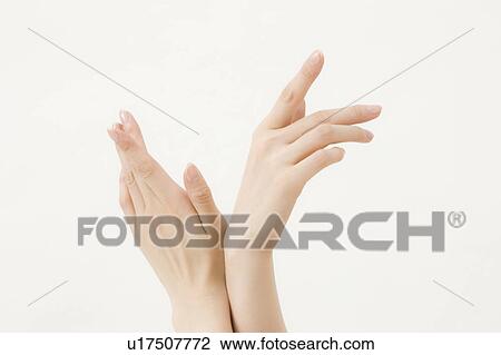 Woman's Hand View Large Photo Image Stock Image - Woman's Hand. Fotosearch
