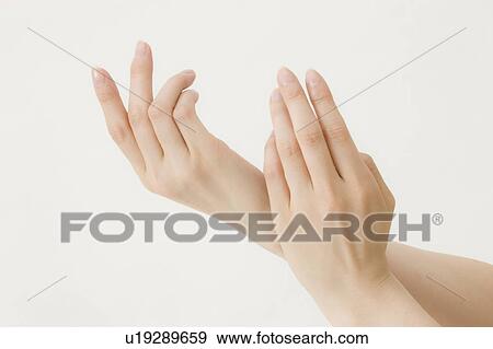 Woman's Hand View Large Photo Image Stock Photo - Woman's Hand. Fotosearch