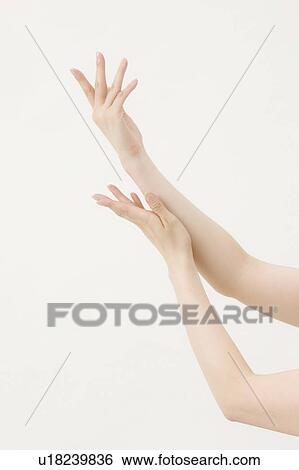 Woman's Hand View Large Photo Image Stock Photograph - Woman's Hand. Fotosearch