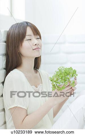Young woman holding houseplant View Large Photo Image Stock Photo - Young woman holding houseplant. Fotosearch