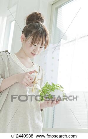 Young Woman Watering Houseplant View Large Photo Image Stock Photo - Young Woman Watering Houseplant. Fotosearch